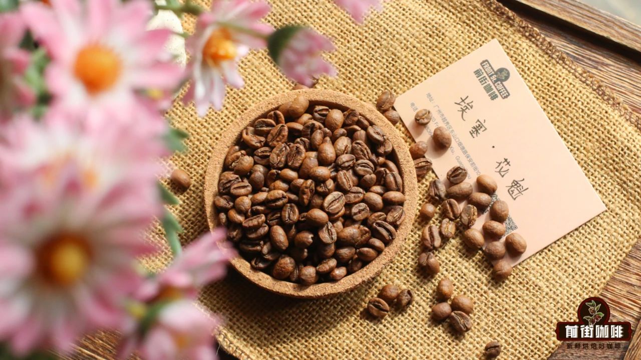 口味接近花香的日晒西达摩咖啡豆介绍精品咖啡