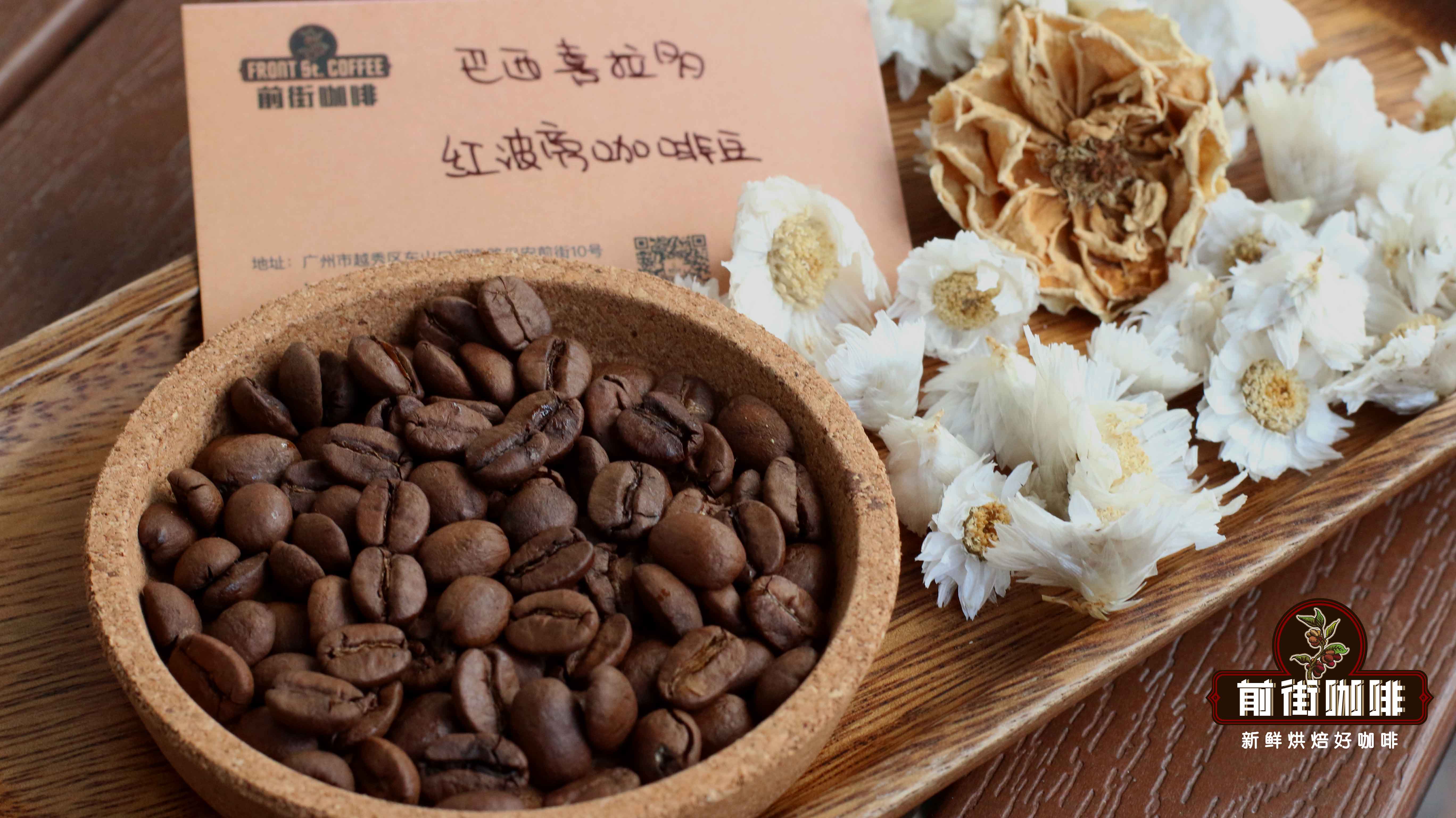 精选咖啡豆选购攻略｜排名前七大品牌咖啡豆种类介绍