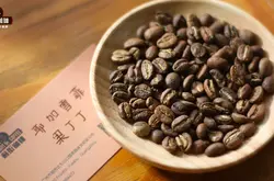 埃塞俄比亚水洗耶加雪啡系列:G1果丁丁合作社不酸的耶加雪啡