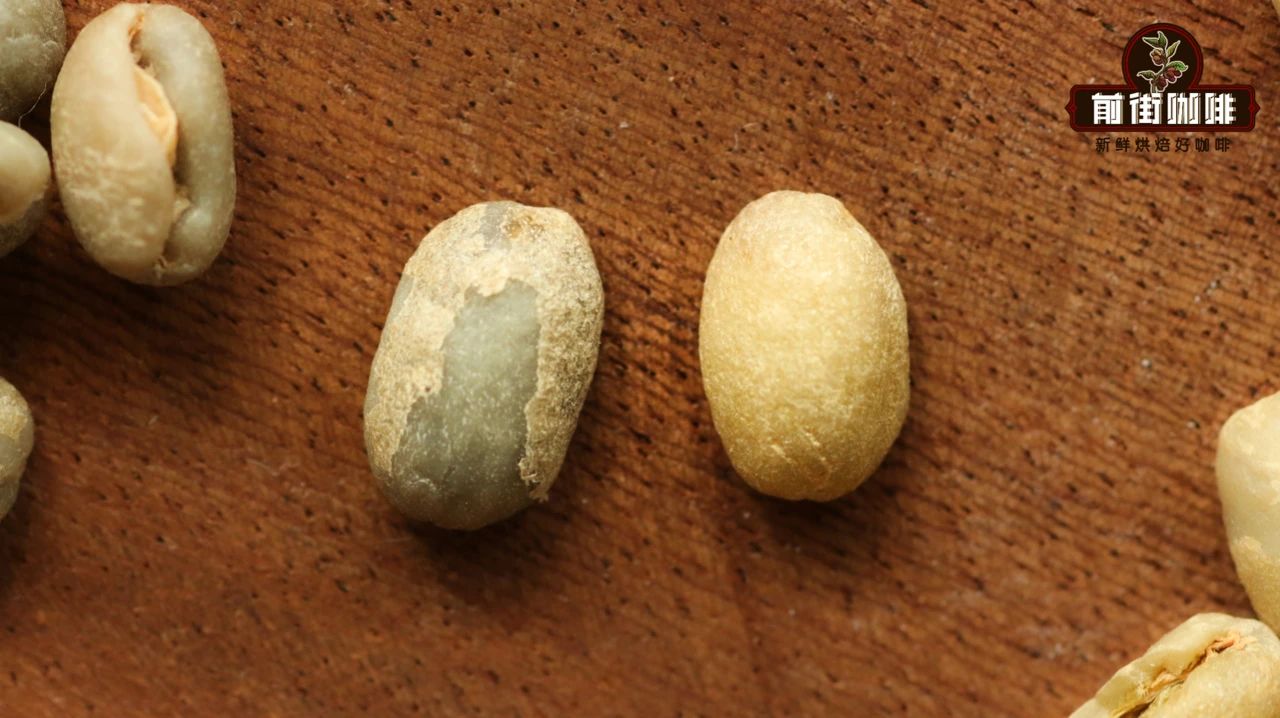 耶加雪菲精品咖啡豆水洗与日晒的口感风味特点有什么不同？