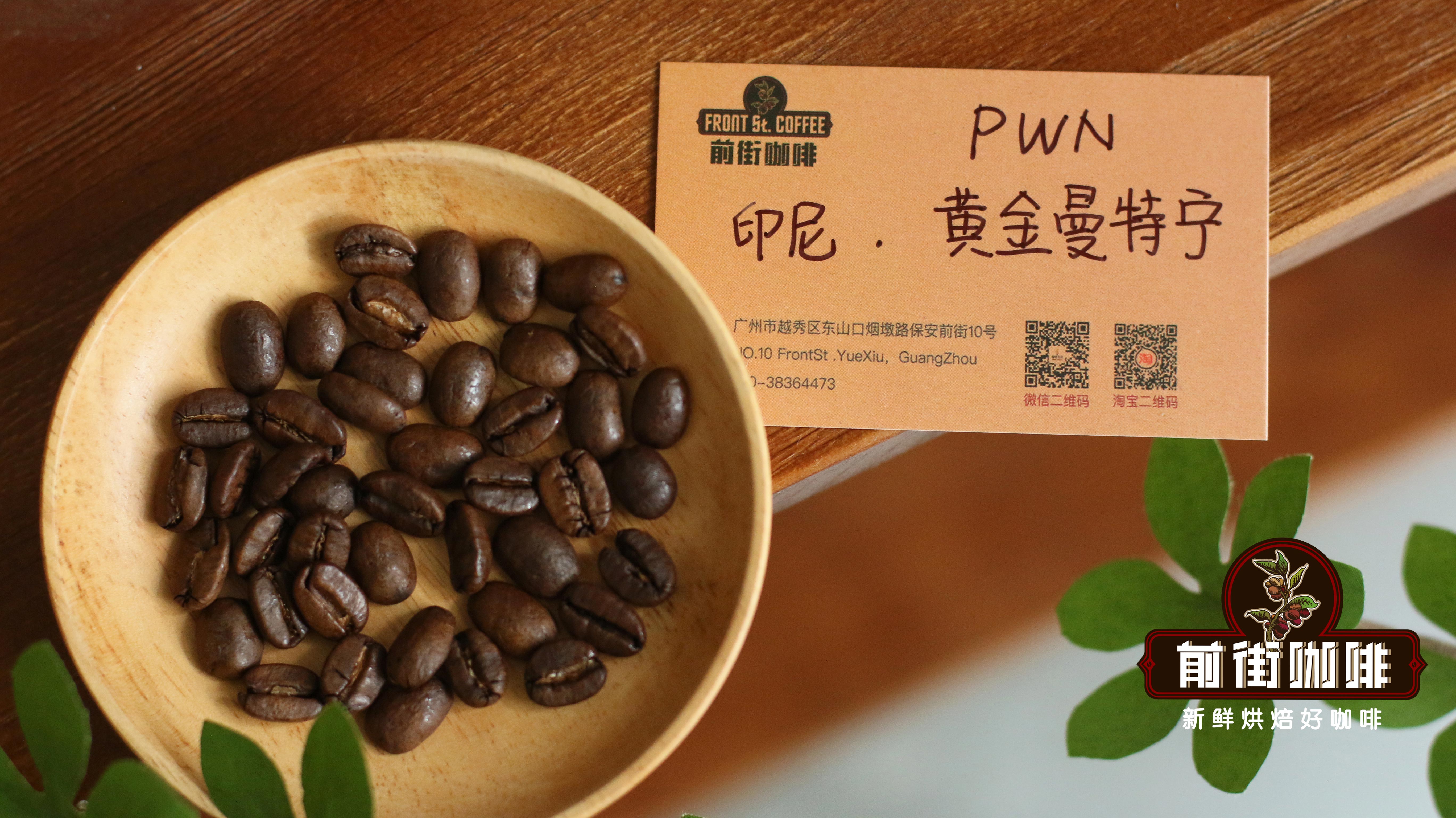 苏门答腊（Sumatra）黄金曼特宁简介 适合送人的曼特宁咖啡豆品牌推荐