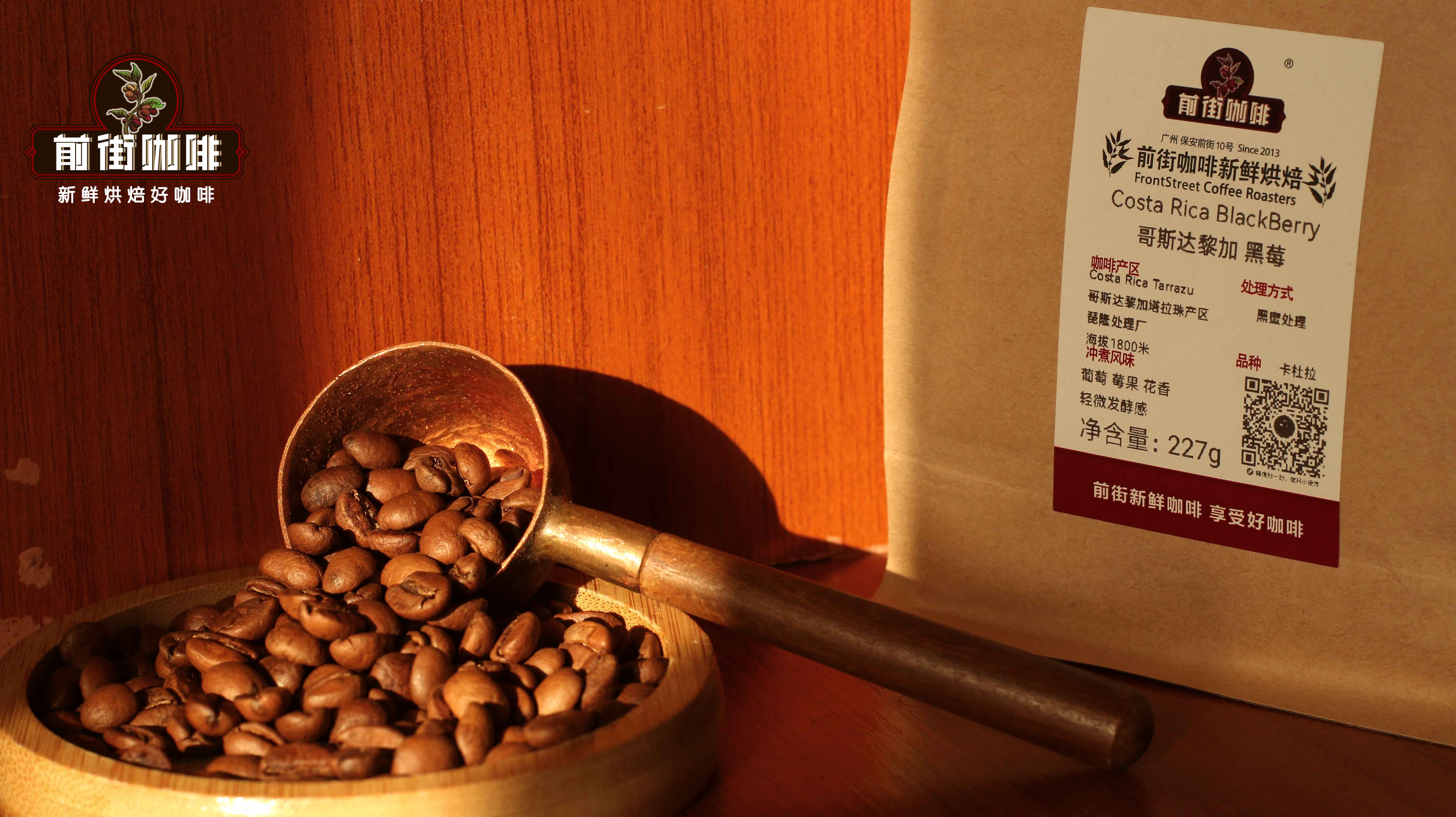 如何挑选蜜处理咖啡豆 哥斯达黎加蜜处理咖啡适合手冲还是意式