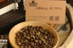 经典产区水洗入门首选耶加雪啡:带独特香气的果丁丁咖啡豆口粮