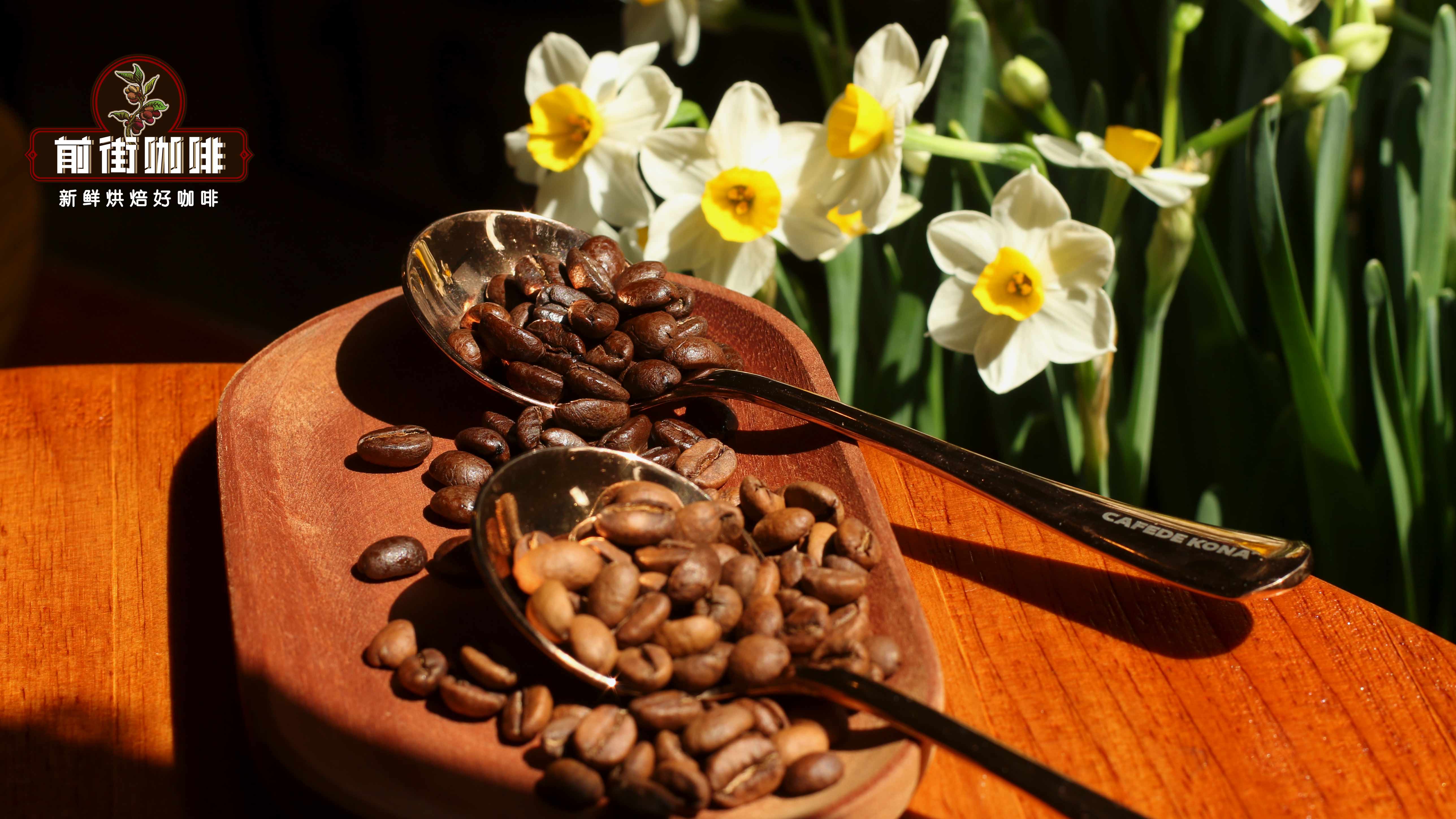 深烘焙和浅烘焙的区别，浅烘咖啡豆哪些有花香水果风味推荐