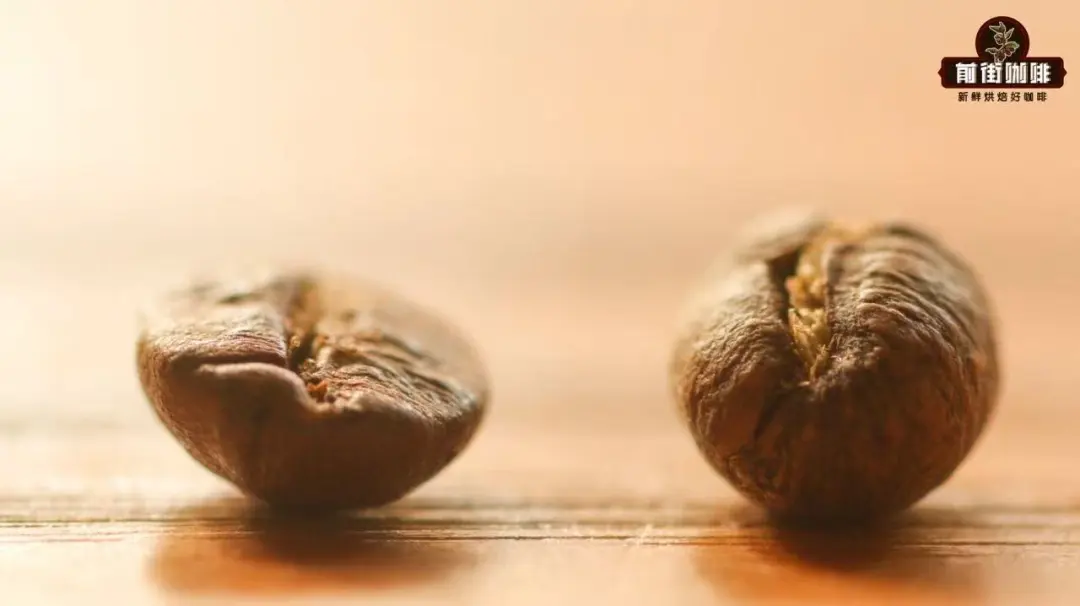 什么是PB等级？PB蓝山咖啡豆会比蓝山一号的味道更好吗？什么是咖啡公豆母豆圆豆平豆？