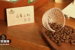 云南挂耳咖啡好喝吗 新鲜现磨挂耳咖啡和速溶咖啡有什么不同
