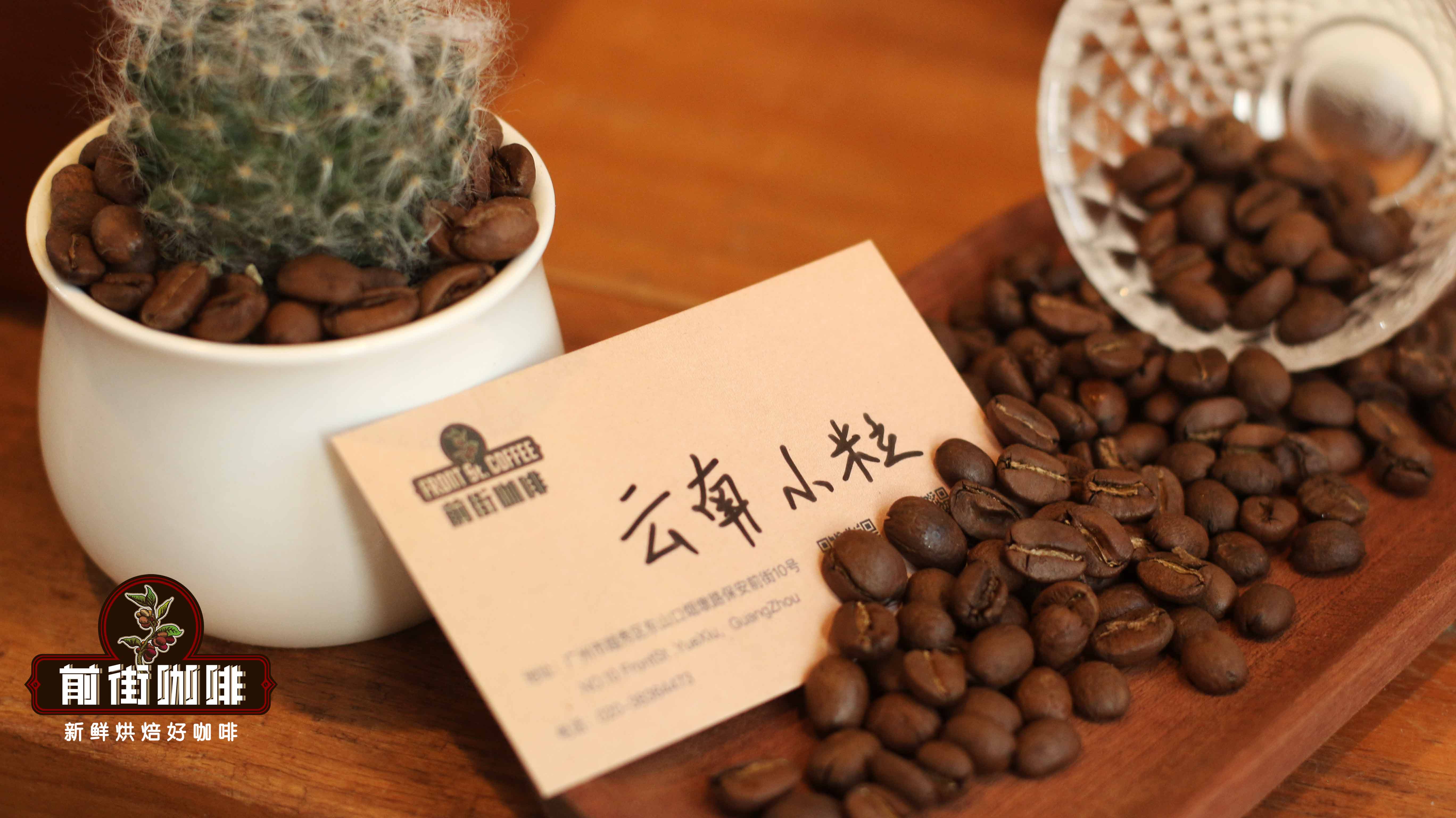 云南小粒拼配意式咖啡豆烘焙度 云南小粒咖啡豆是阿卡比拉品种吗