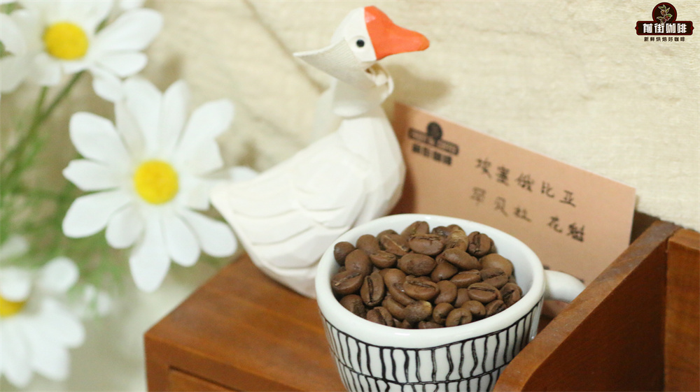 新产季西达摩古吉产区花魁咖啡介绍 花魁咖啡豆选浅烘还是中烘？