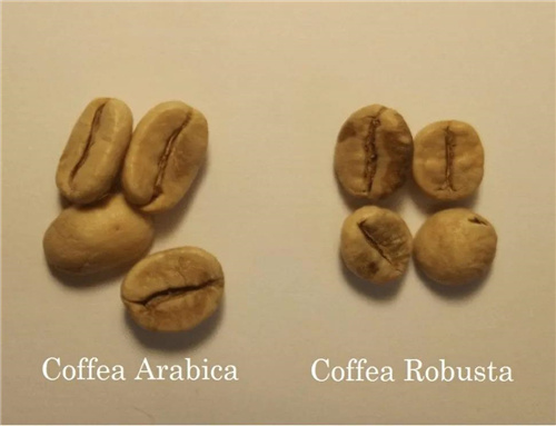 阿拉比卡精品咖啡豆推荐 新手入门如何购买阿拉比卡袋装咖啡