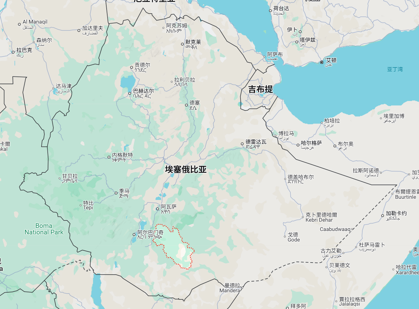 埃塞俄比亚古吉罕贝拉G1等级咖啡豆 新产季日晒浅烘花魁咖啡豆