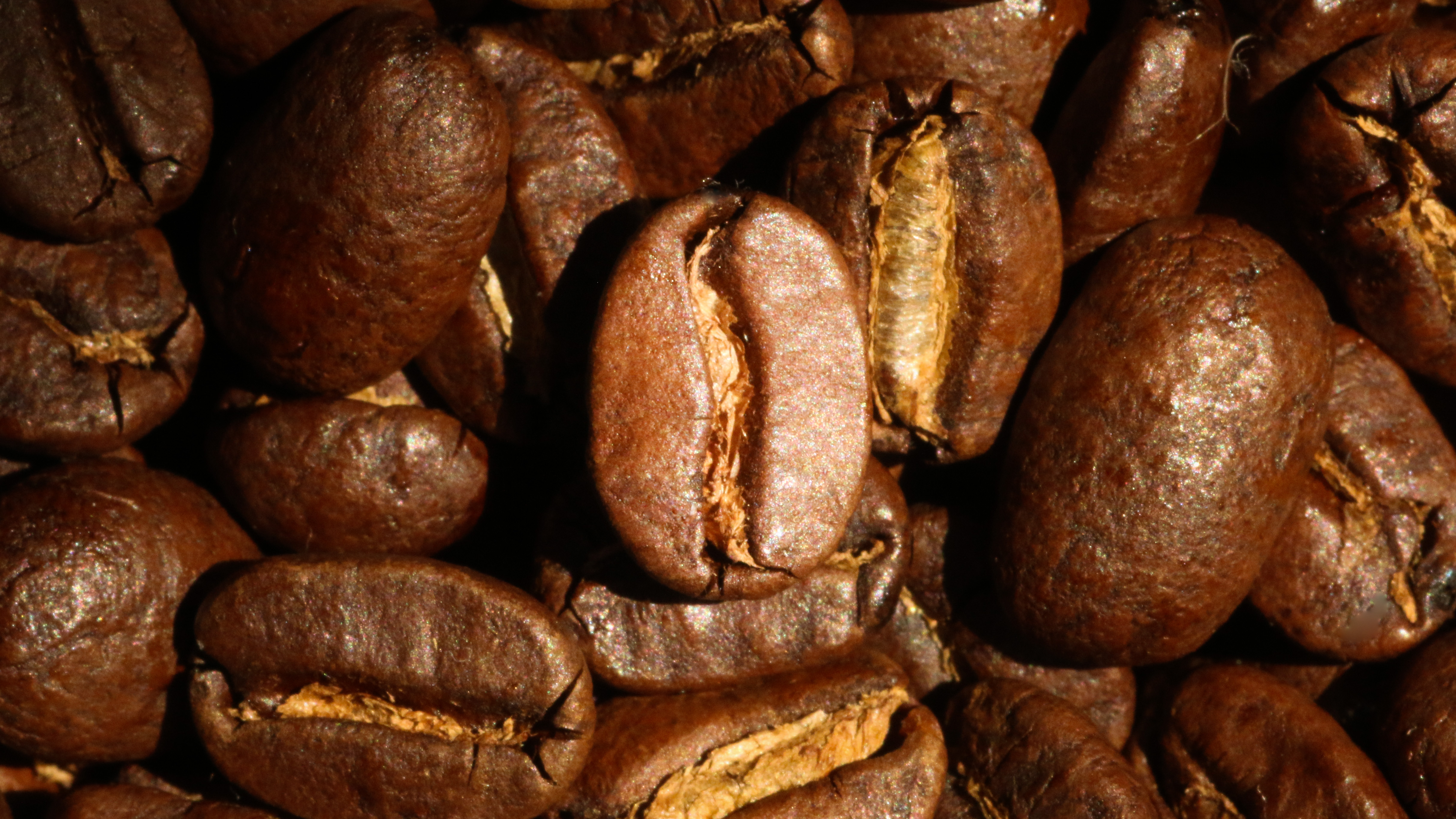 咖啡品种名字大全/手冲咖啡品种有几种？不同的咖啡品种风味特征有什么区别？