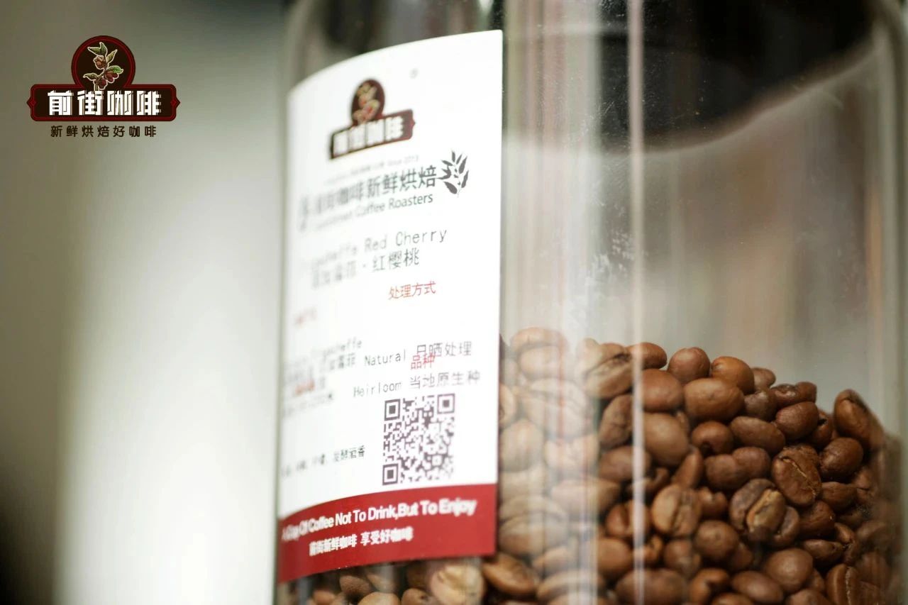 耶加雪菲红樱桃计划日晒处理精品咖啡豆故事介绍风味特点描述