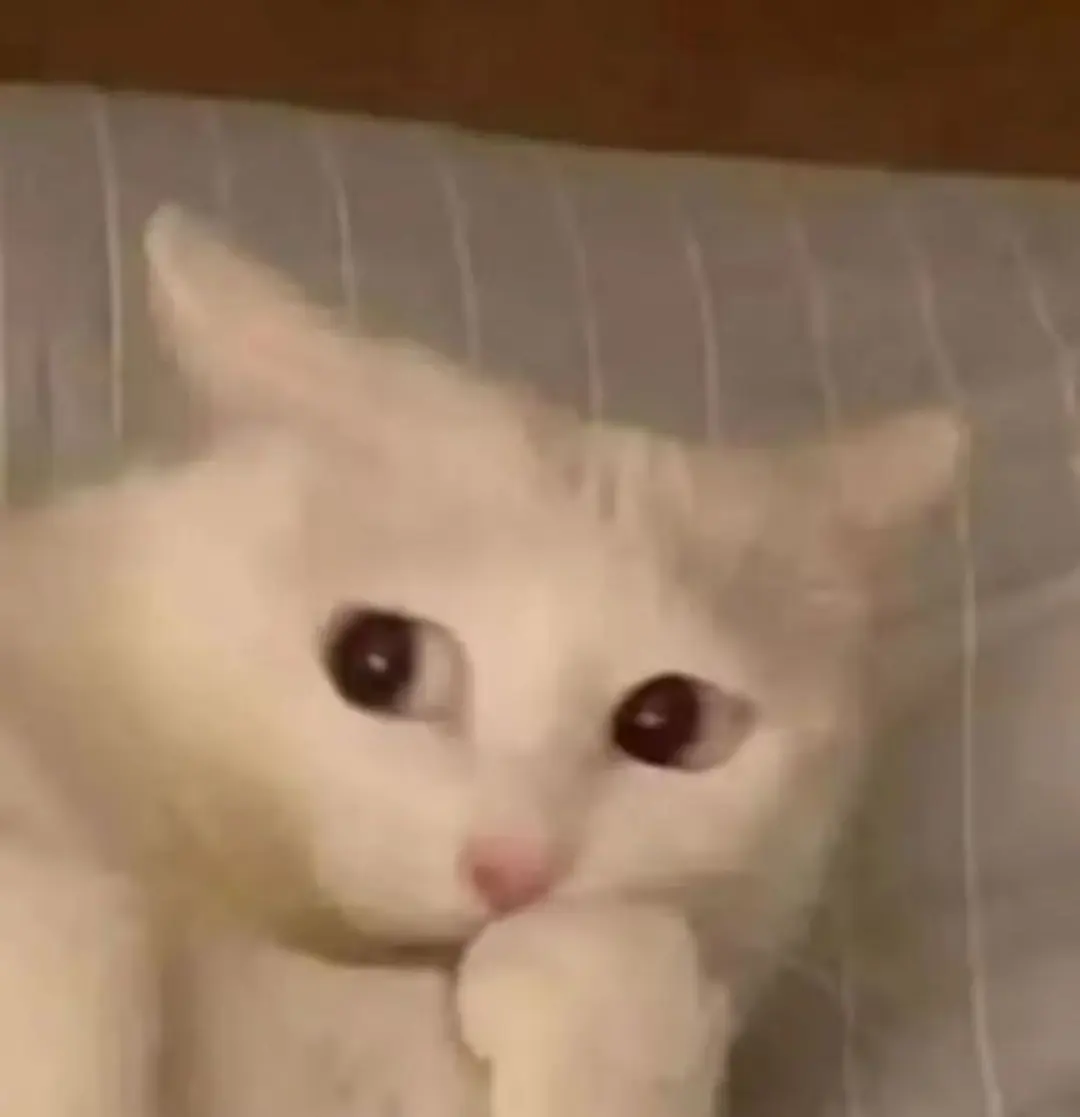 SOE/Dirty是什么意思？单品拼配咖啡区别在哪？Dirty用什么都合适？