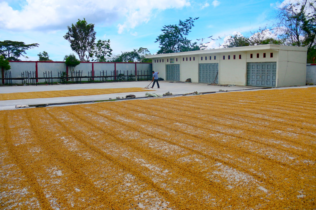 印尼四大精品咖啡产区介绍_印尼托拿加Toraja咖啡怎么样