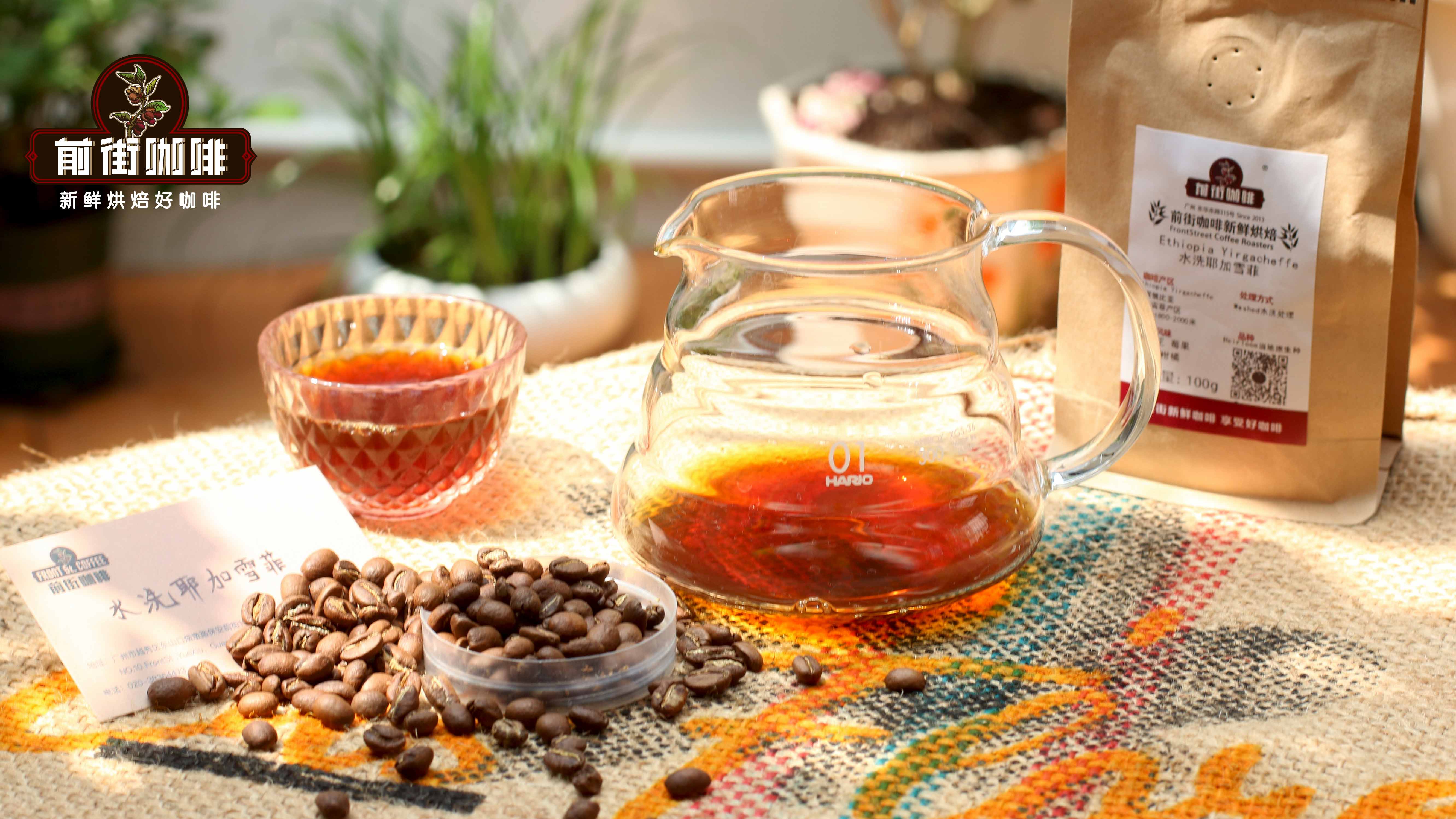 好喝的咖啡豆推荐 耶加雪菲水洗处理G1水果香气典雅花香