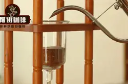 冰滴咖啡豆有哪些?什么产区的豆子适合做冰滴咖啡?