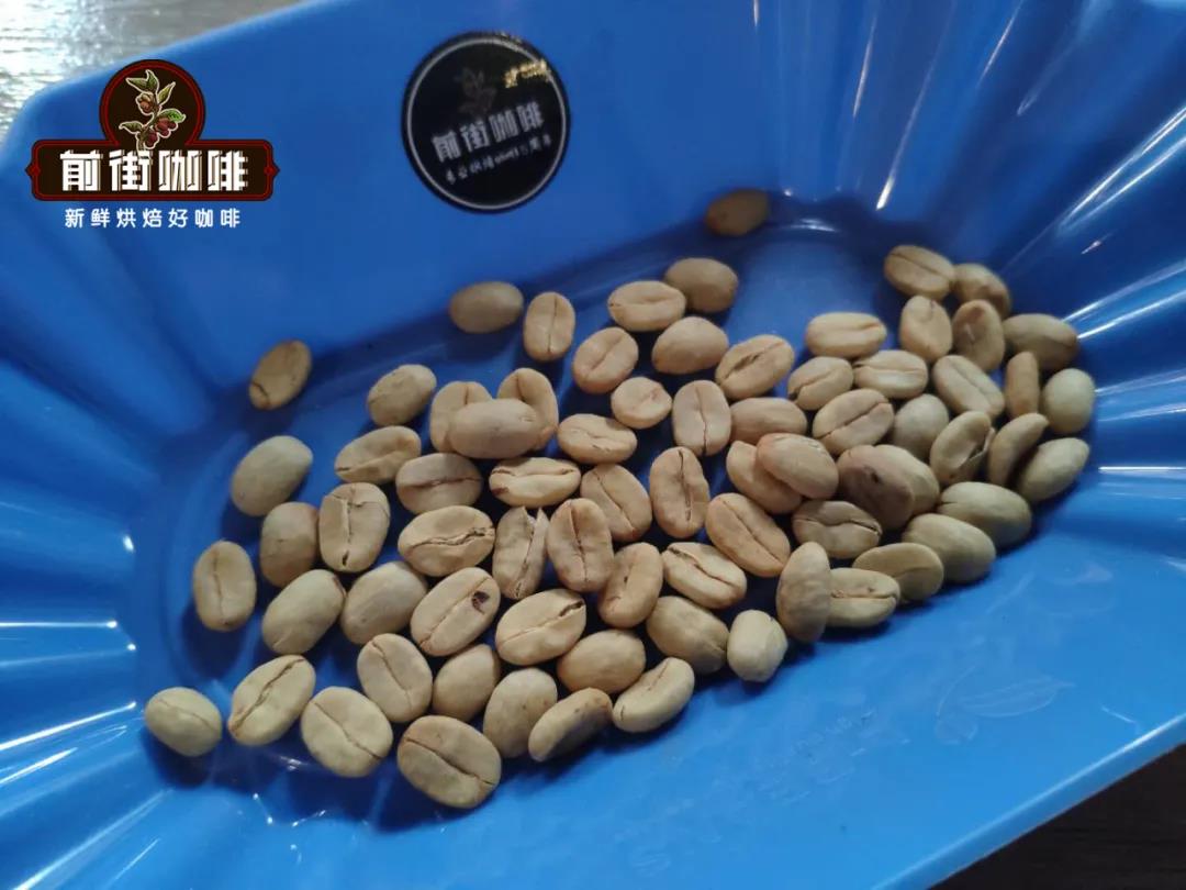 埃塞俄比亚耶加雪菲咖啡豆 水洗咖啡风味口感品种庄园介绍