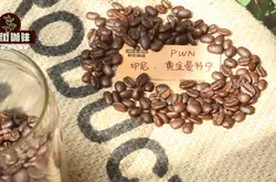 苏门答腊(Sumatra)黄金曼特宁 深焙极深沉的风味与浓厚口感