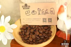 不同产区的波旁咖啡特点风味有什么变化_波旁咖啡豆多少钱一包