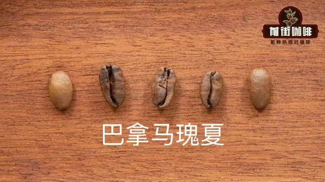 巴拿马咖啡市场分析风味描述口感特点研磨刻度处理法介绍