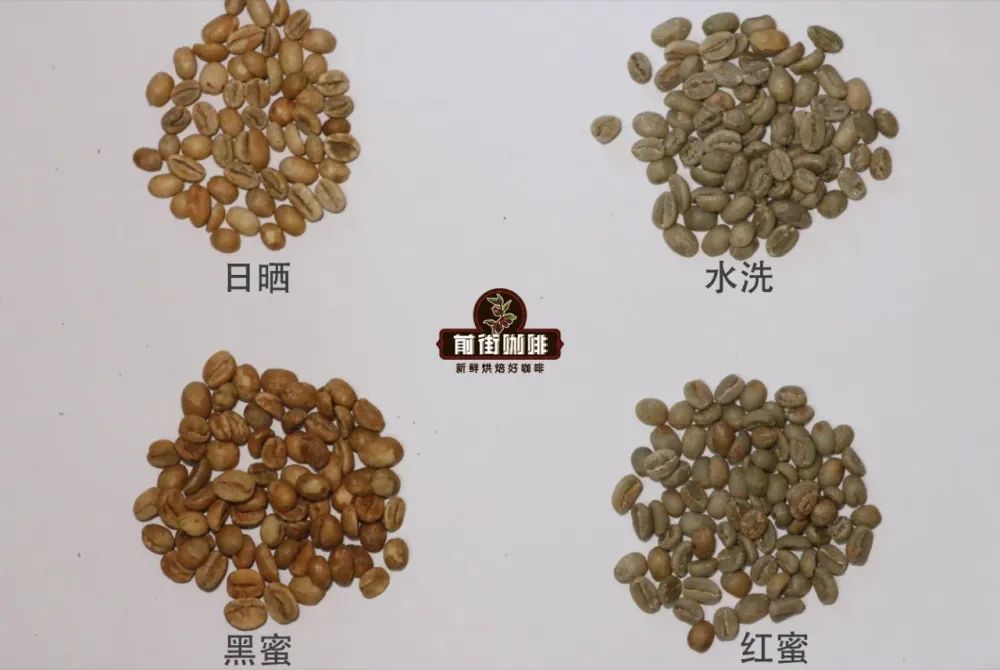 哥斯达黎加咖啡豆蜜处理 黄蜜红蜜黒蜜厌氧蜜处理的区别