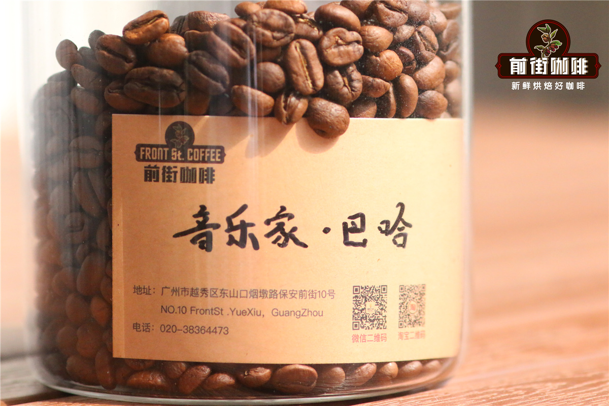 哥斯达黎加塔拉珠产区巴哈|酒香草莓风味葡萄干蜜处理过程和风味