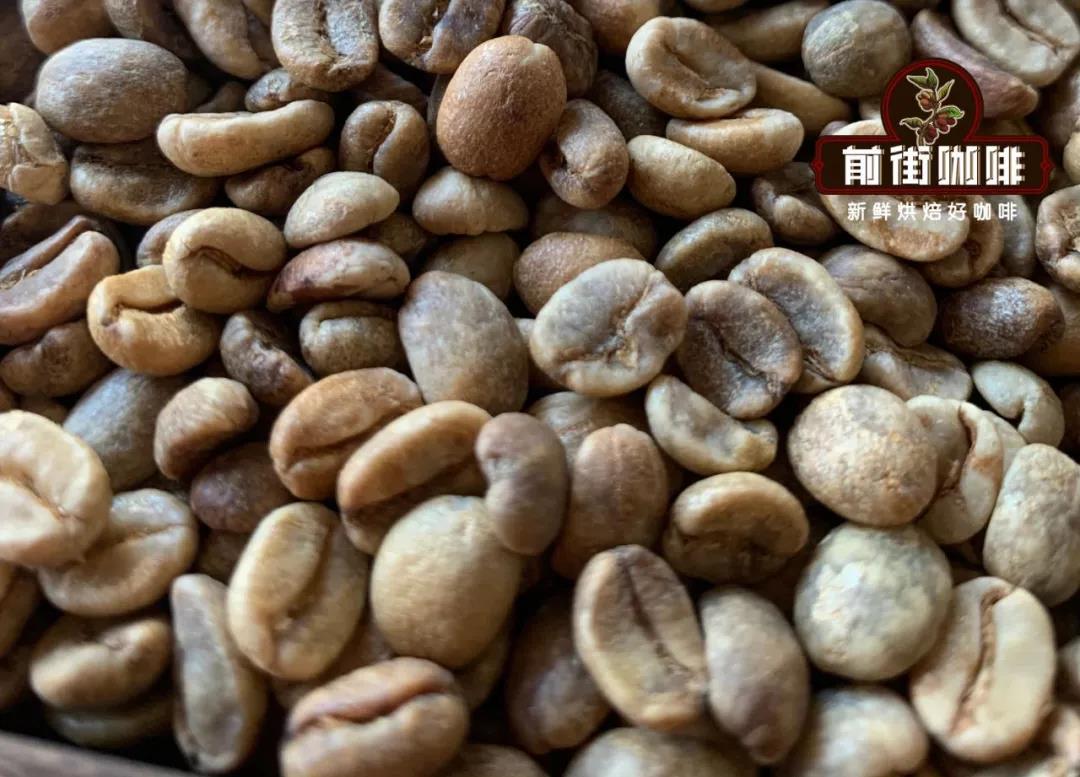 哥斯达黎加独特咖啡风味 卡内特庄园巴哈蜜处理系列风味描述