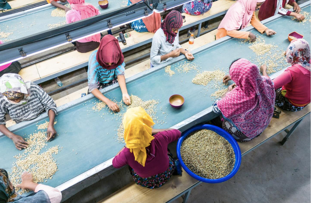埃塞俄比亚咖啡豆的种类口感庄园产地区风味描述处理法研磨刻度介