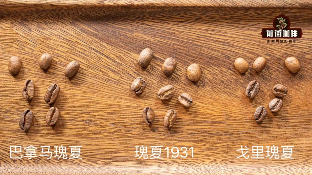 瑰夏咖啡的风味，瑰夏咖啡的简介