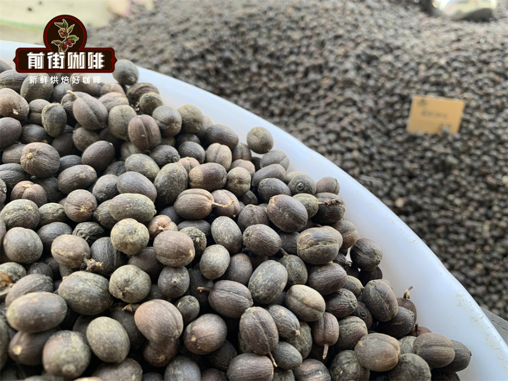云南咖啡豆适合什么烘培程度 云南小粒咖啡风味特点是酸是苦？
