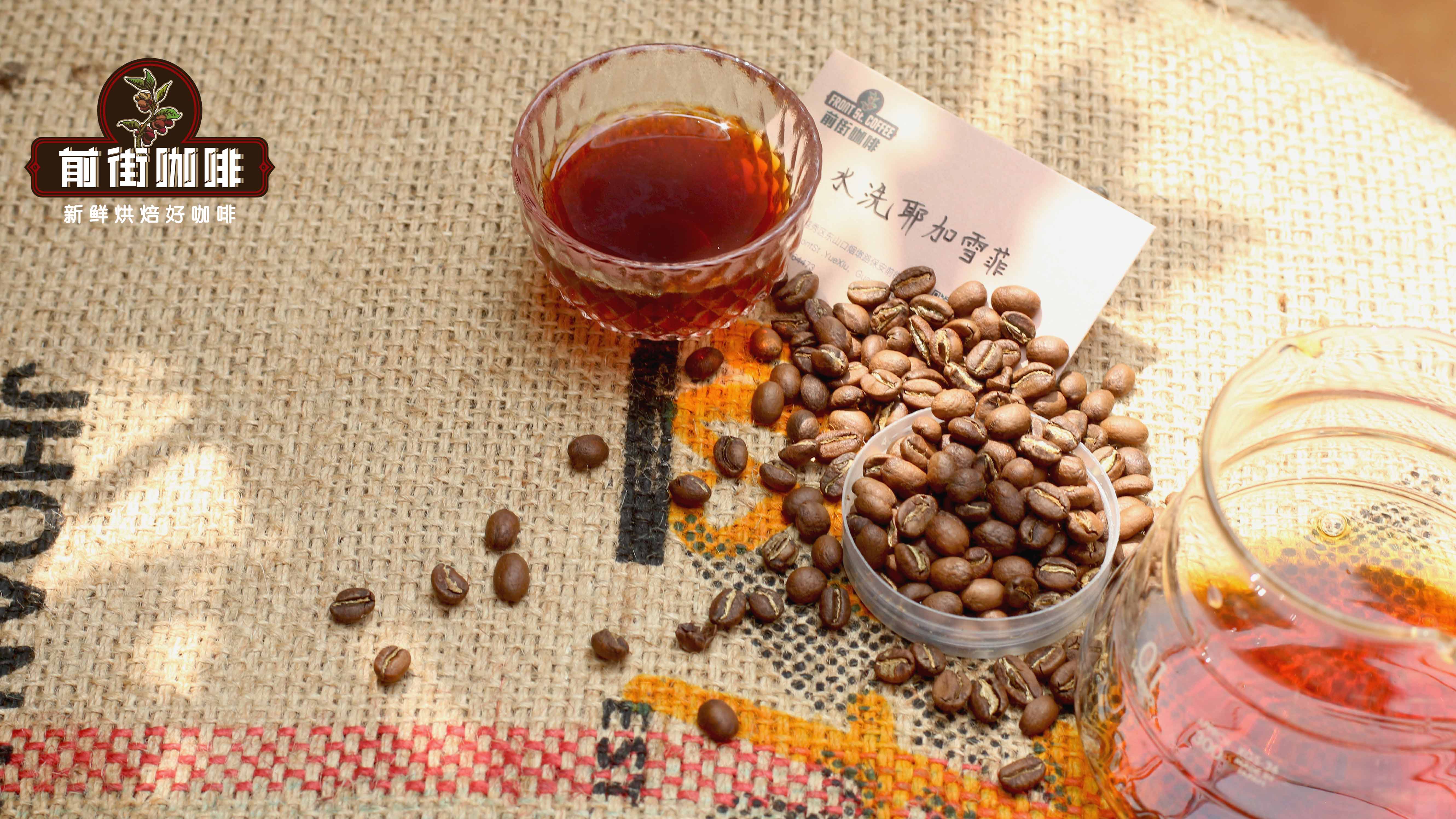 茉莉花香的科契尔耶佳雪菲咖啡起源发展历史文化简介