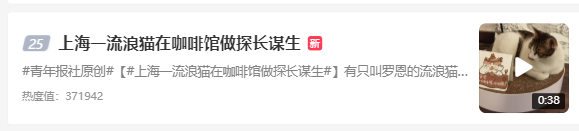 上海一流浪猫在咖啡馆做探长谋生 附近的猫咪咖啡馆都怎么收费 
