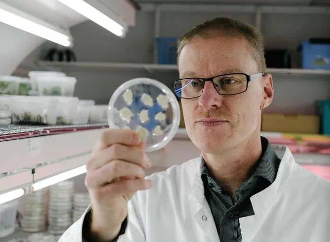 人造咖啡与分子咖啡有什么区别 芬兰科学家研制出了新型的可持续咖啡
