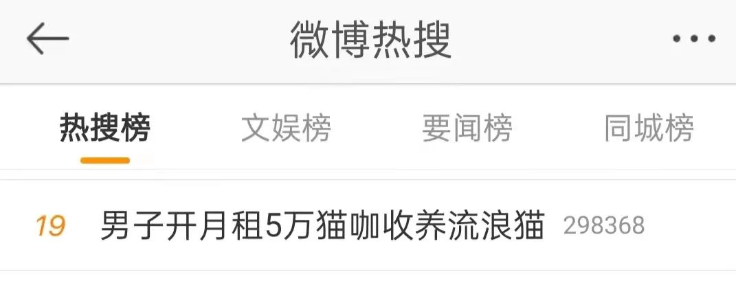 猫咖是什么来的是做什么的消费高吗？上海一男子月租5万开一家猫咖收养流浪猫