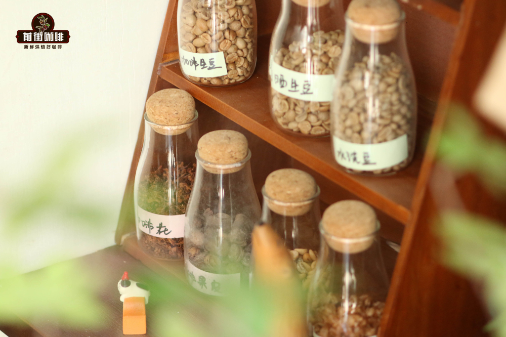 西达摩咖啡豆风味口感特点是什么 西达摩花魁咖啡6.0手冲冲泡风味描述