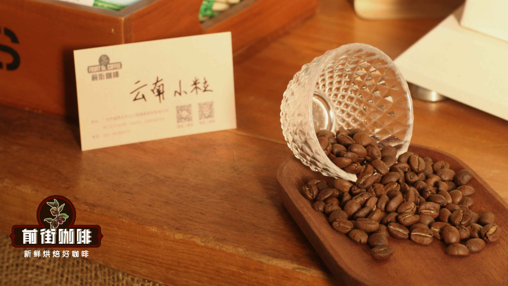 云南小粒有什么不一样？以前的云南小粒跟现在的区别是什么？卡蒂姆是阿拉比卡吗？