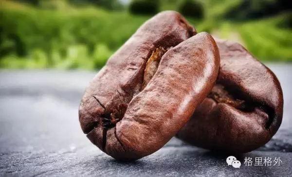 图解：从生豆到咖啡到底要走多远？