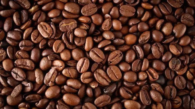 精品咖啡豆：尼加拉瓜柠檬树庄园爪哇长粒豆种介绍
