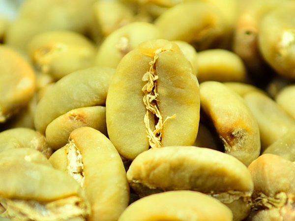 咖啡生豆从种植到运输过程的处理：果肉脱皮、发酵、干燥、拣选