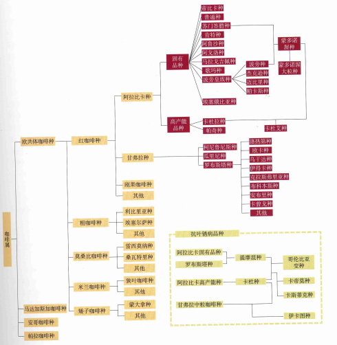 咖啡生豆知识要点：精品咖啡Specialty Coffee概念（二）