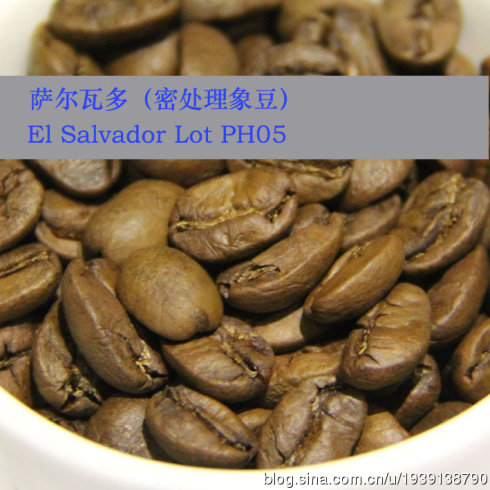 咖啡豆的解析：萨尔瓦多咖啡豆的风味解析及烘焙程度的分析介绍