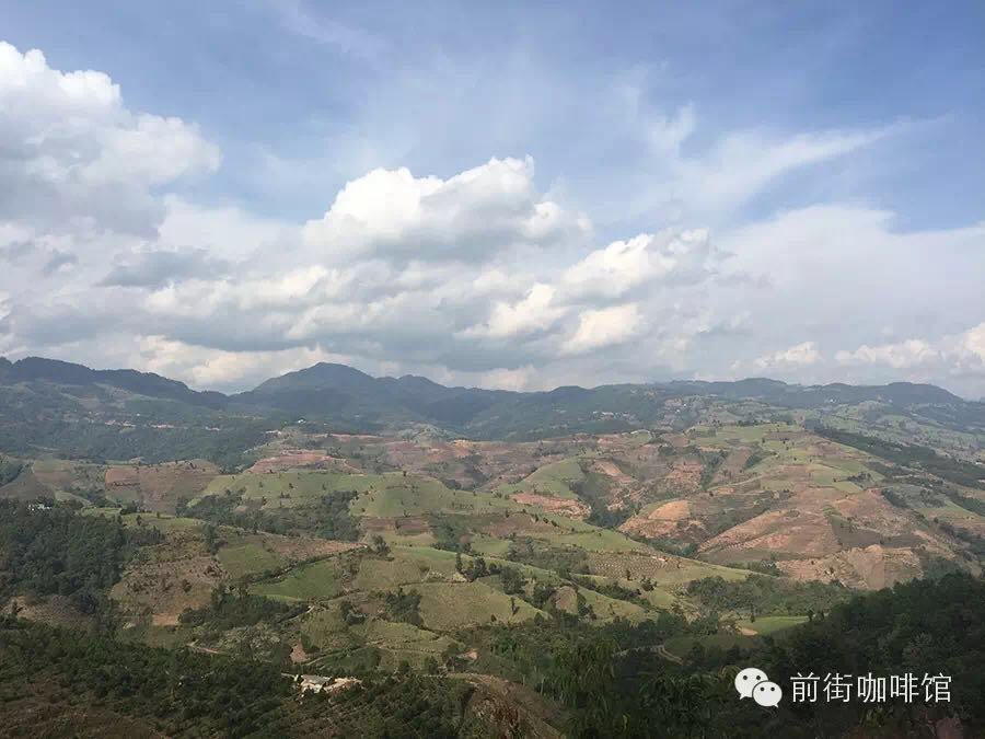 云南寻觅咖啡之旅 前街咖啡馆最新资讯 云南咖啡