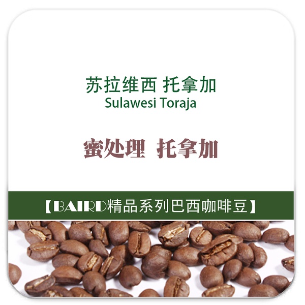 苏拉维西托拿加Sulawesi Toraja咖啡豆 Toraja木桶怎么泡怎么喝？