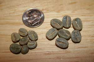 精品咖啡Specialty Coffee概念（一）世界第三波咖啡文化历史知识