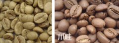 咖啡、印尼、荷兰人