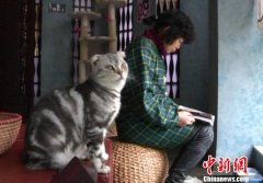 昆明名贵“猫吧”咖啡厅卖书卖咖啡