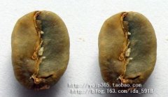 从咖啡生豆说起（1）