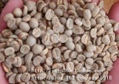 从咖啡豆说起（2）——美洲——哥斯达黎加