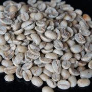 北美洲萨尔瓦多咖啡生豆