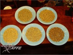 五款不同国家圆豆的对比